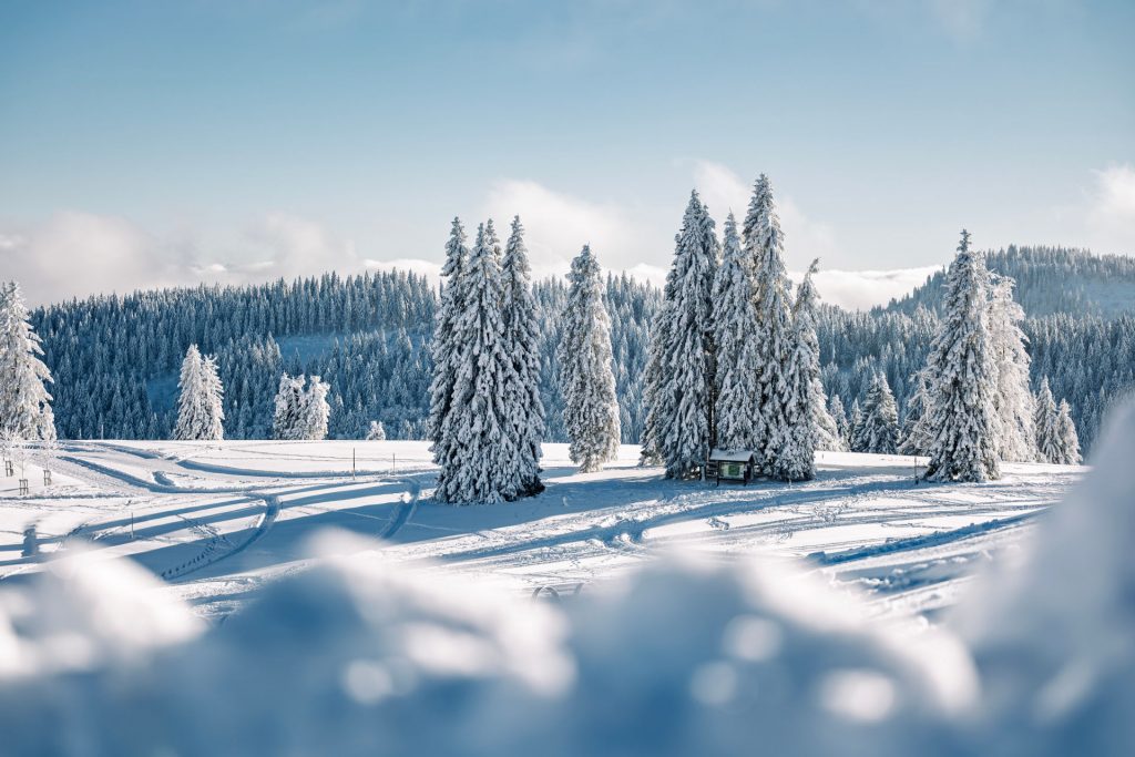 Winterlandschaft am Feldberg